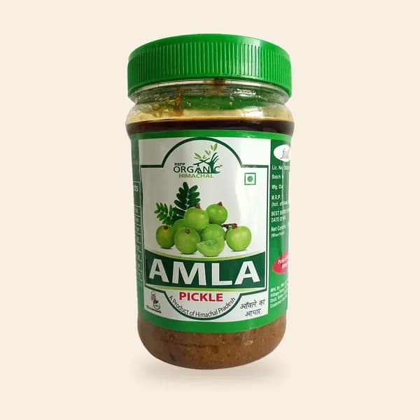 Wild Amla Pickle jar