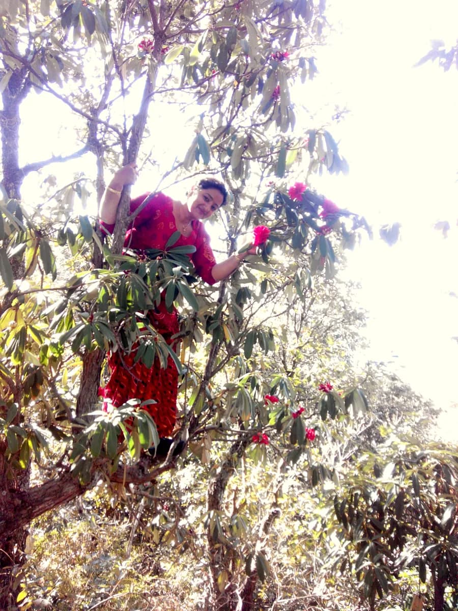 Climbing a buransh tree to pick the red flowers