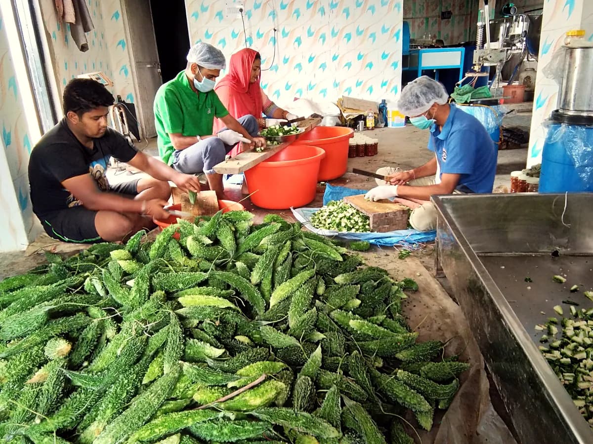 Sorting and cleaning pahadi karela